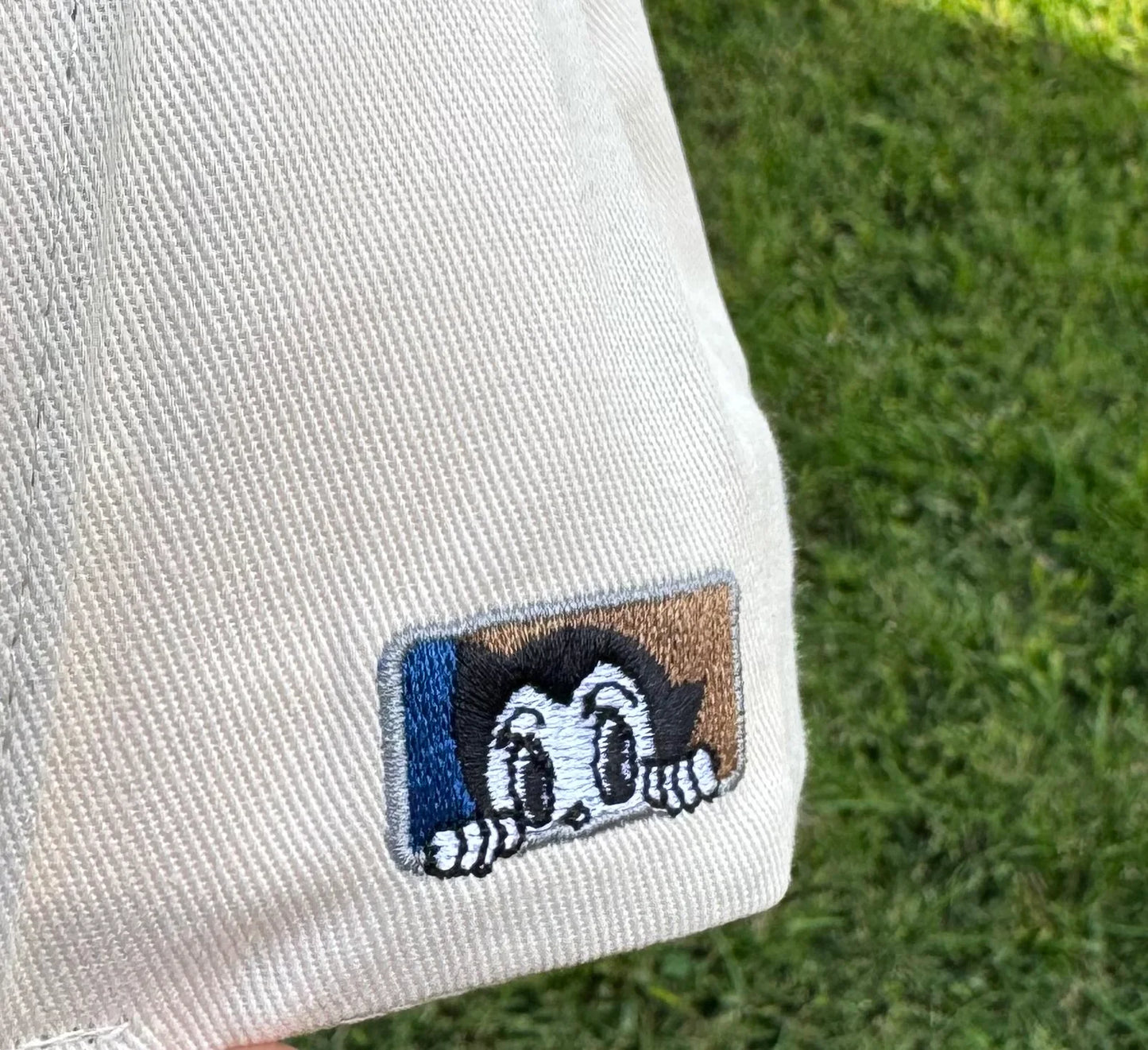 Roadside Museum H-Town Astro Snapback Cream/Black
