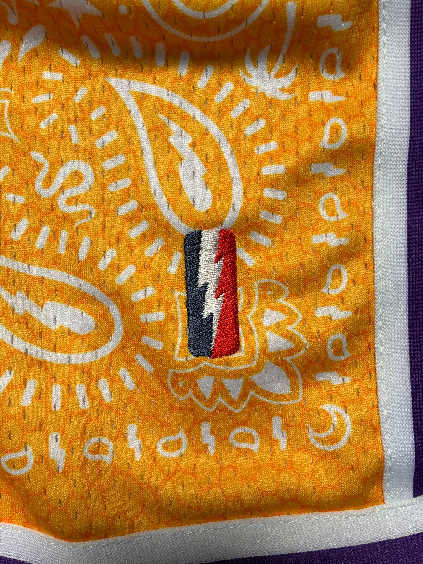 Collect & Select Mamba Lakers Paisley Shorts Medium