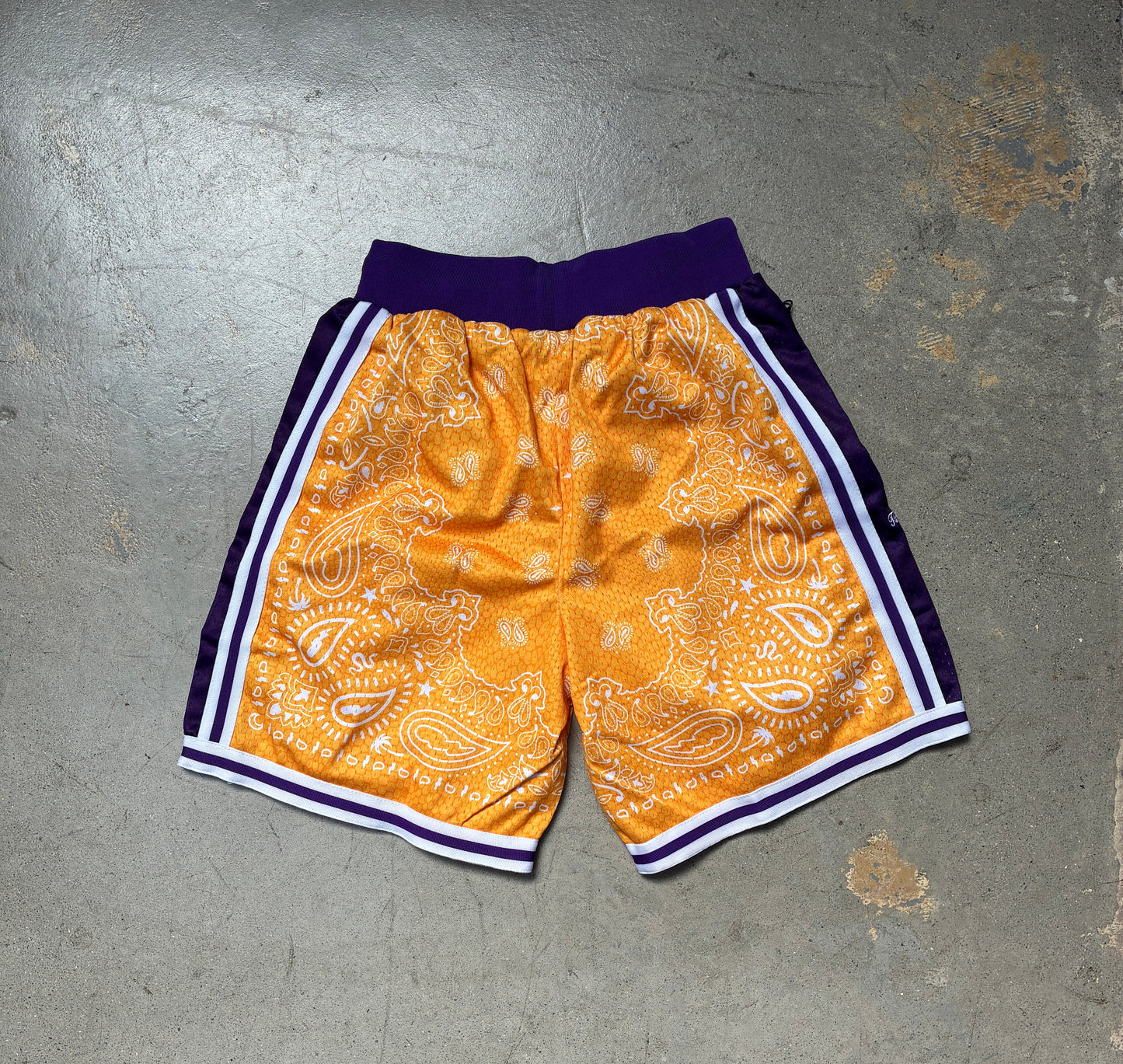 Collect & Select Mamba Lakers Paisley Shorts Medium