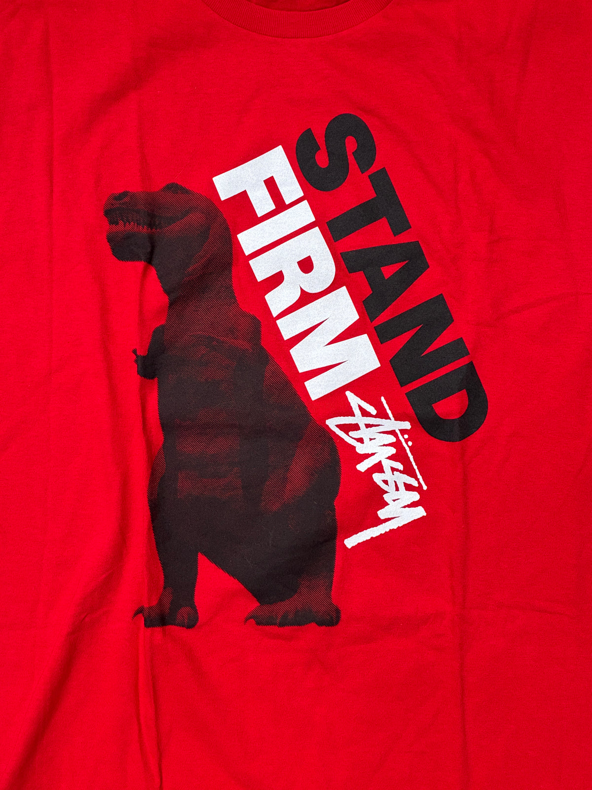 Stussy Stand Firm T-Shirt Red Large
