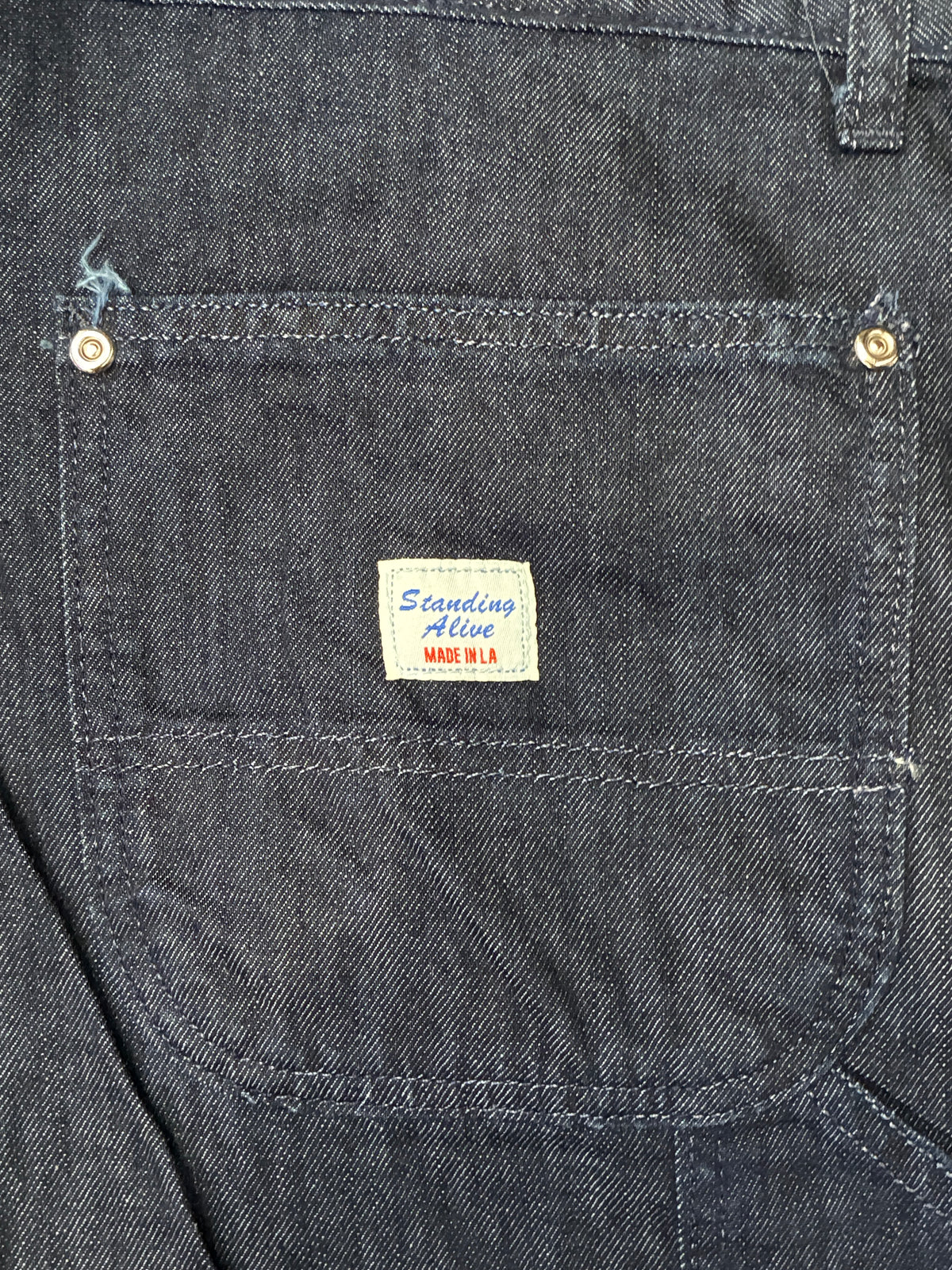 Standing Alive Carpenter Pants