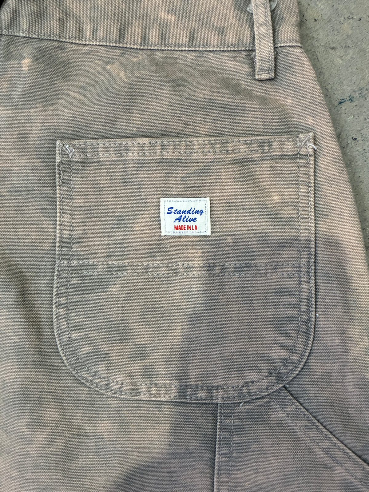 Standing Alive Carpenter Pants