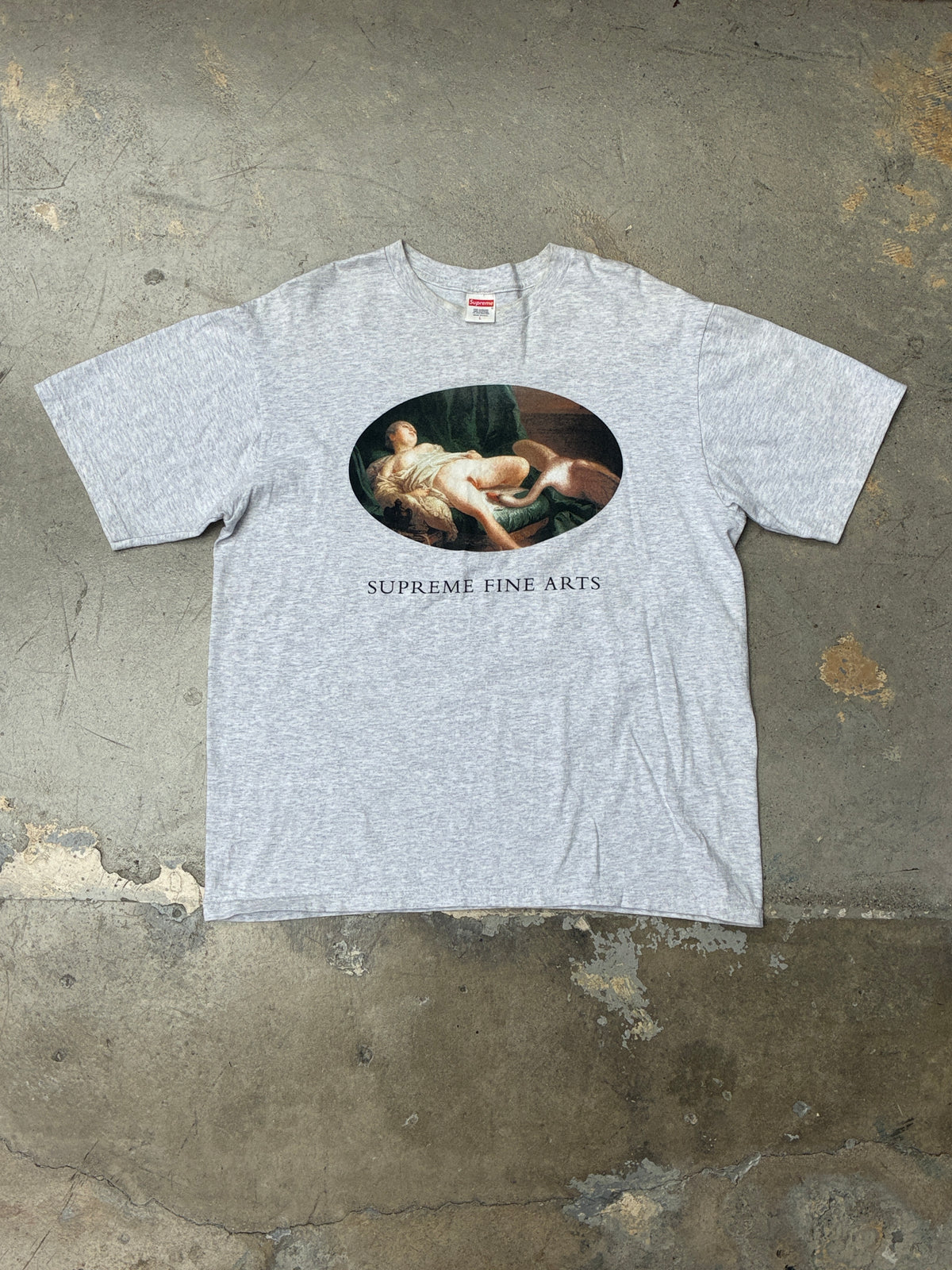 Supreme Leda and the Swan Tee Heather Grey (Pre-owned)