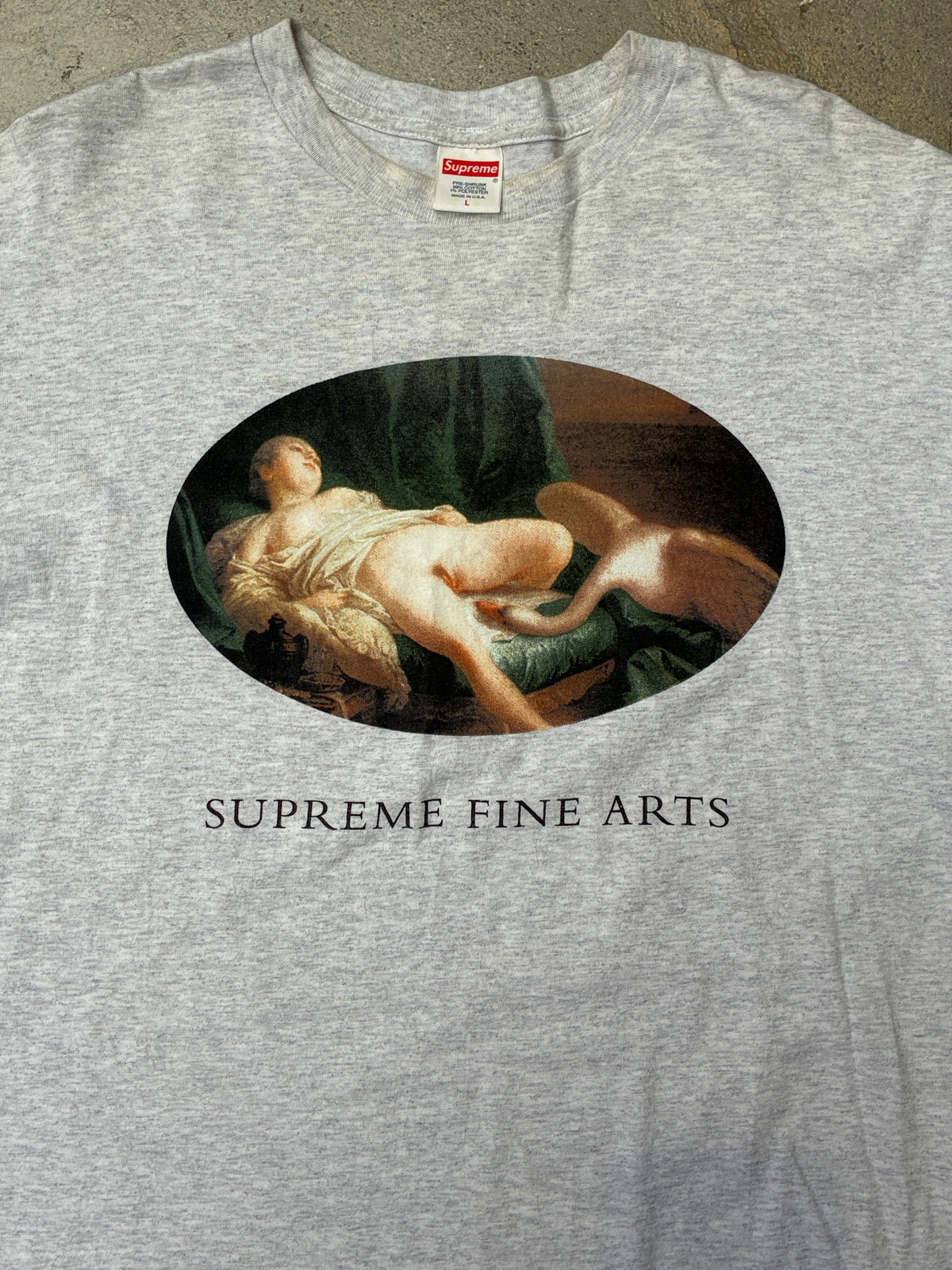 Supreme Leda and the Swan Tee Heather Grey (Pre-owned)