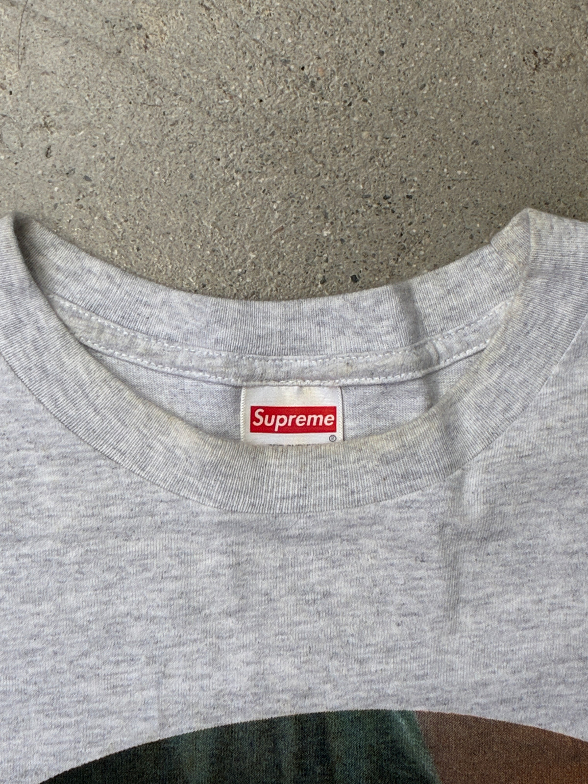 Supreme Leda and the Swan Tee Heather Grey (Pre-owned)