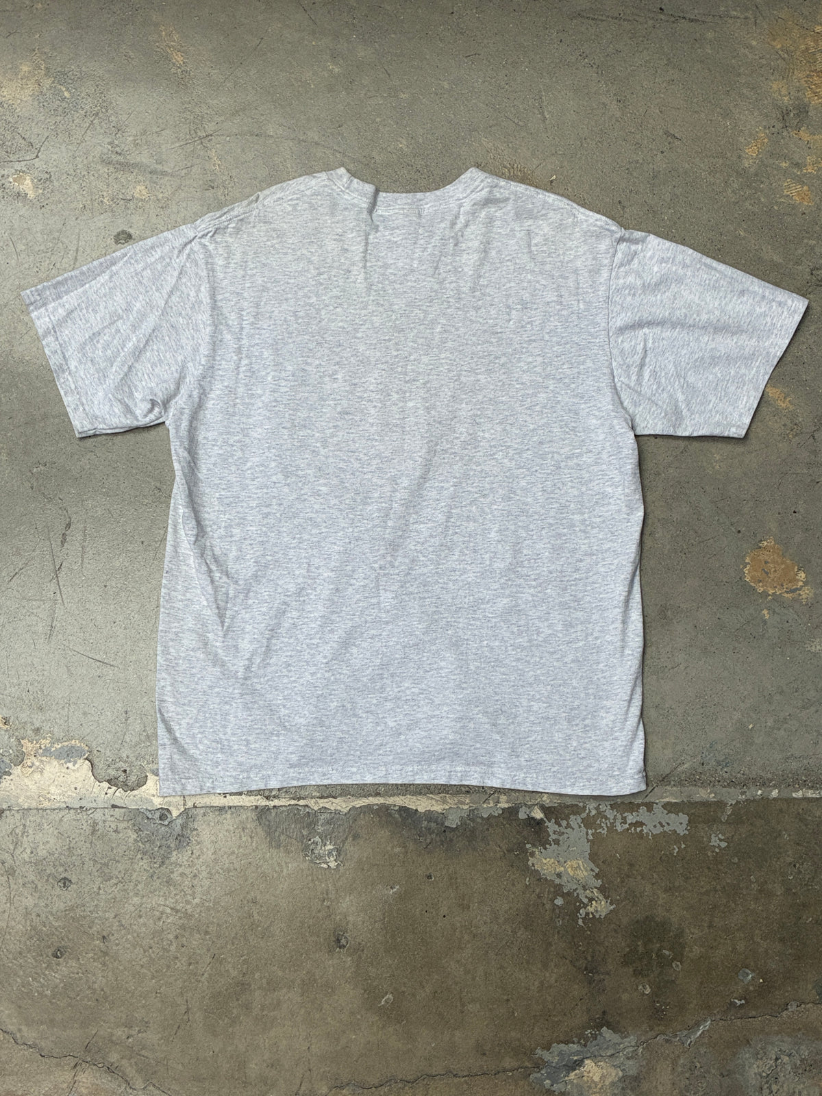 Supreme Leda and the Swan Tee Heather Grey (Pre-owned)
