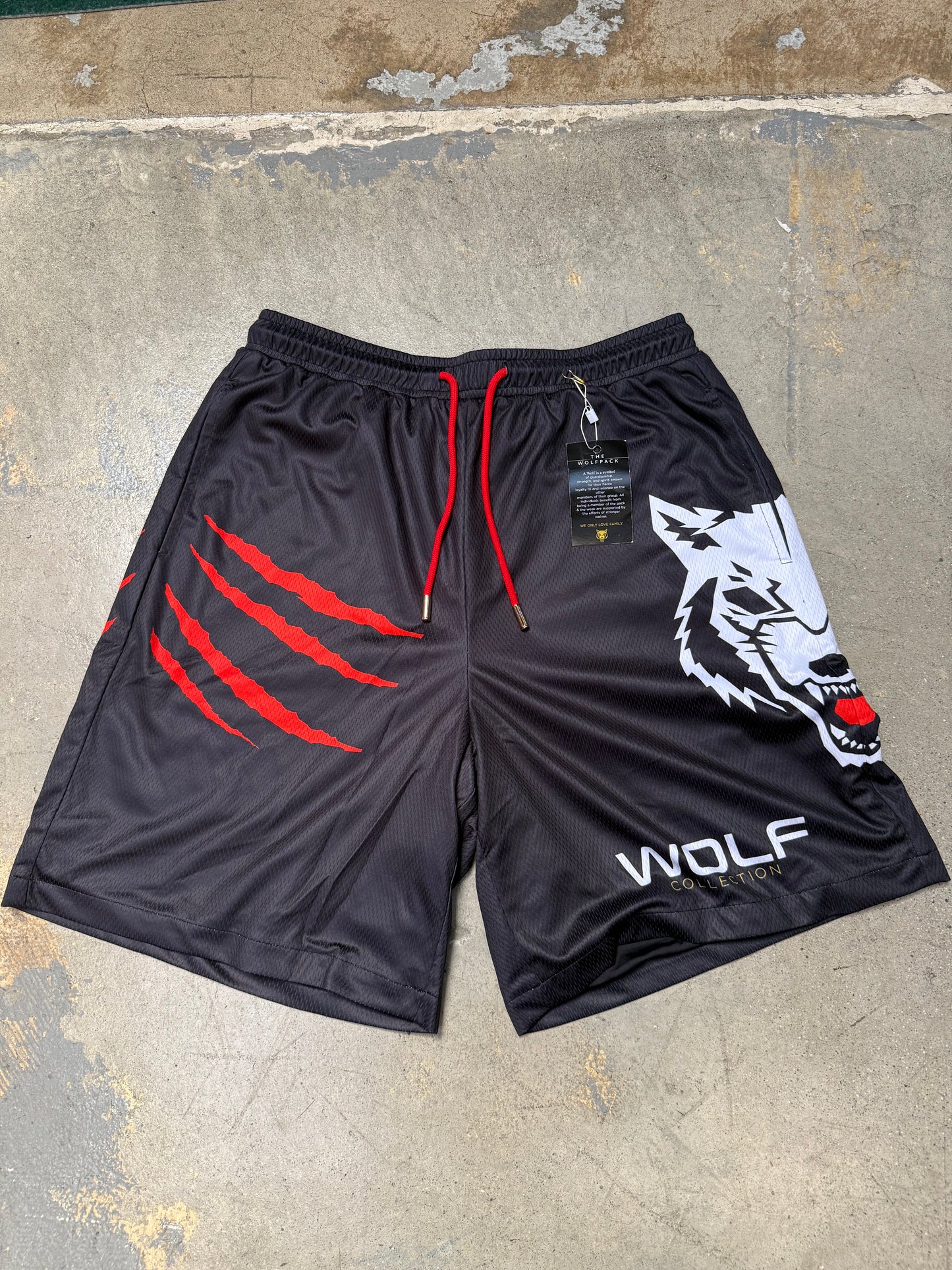 Wolf Collection Scratch Logo Mesh Shorts Black