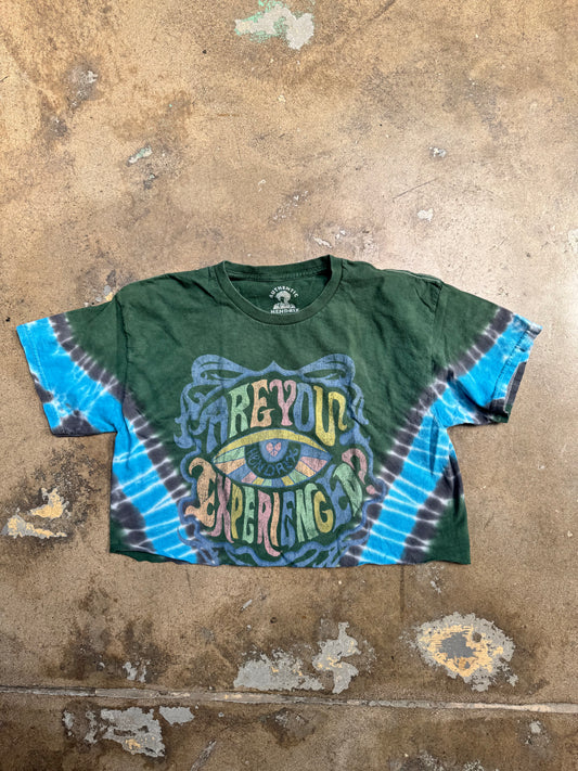 Hendrix Are You Experienced Cropped T Shirt Green Tye Dye M